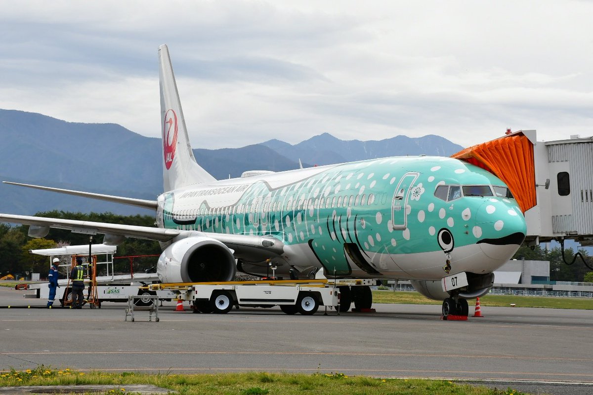 カルミコ tweet media