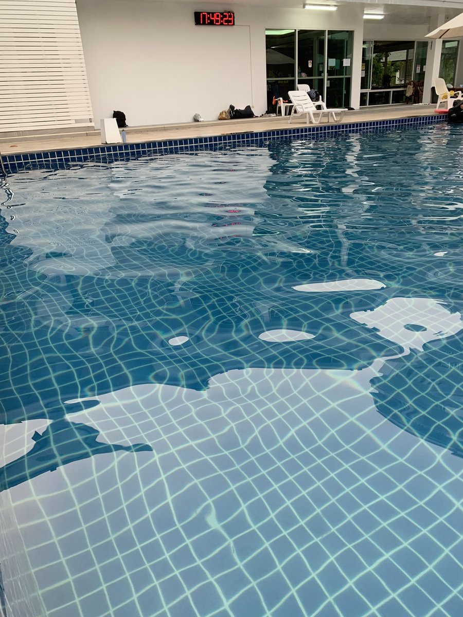 pokemon_X tweet media