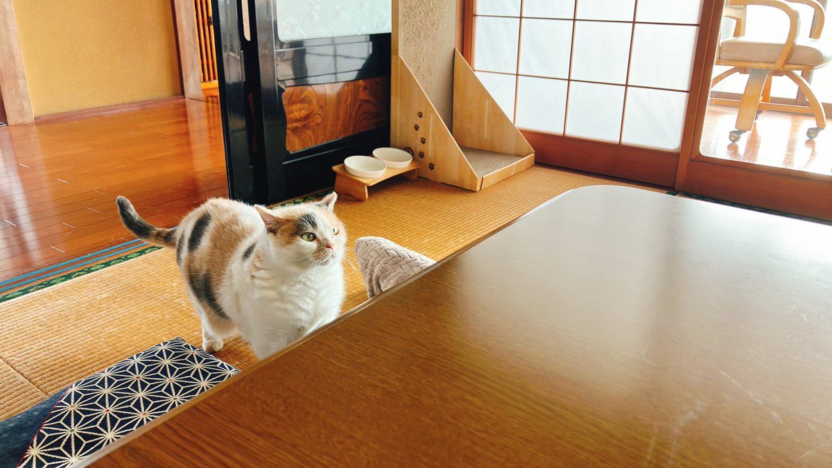 民泊たなごころ tweet media