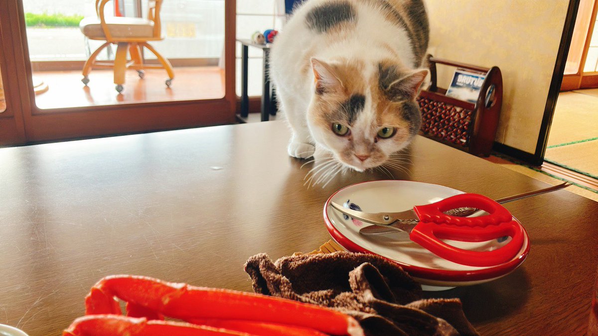 民泊たなごころ tweet media