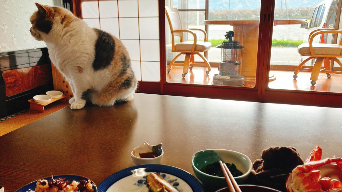 民泊たなごころ tweet media