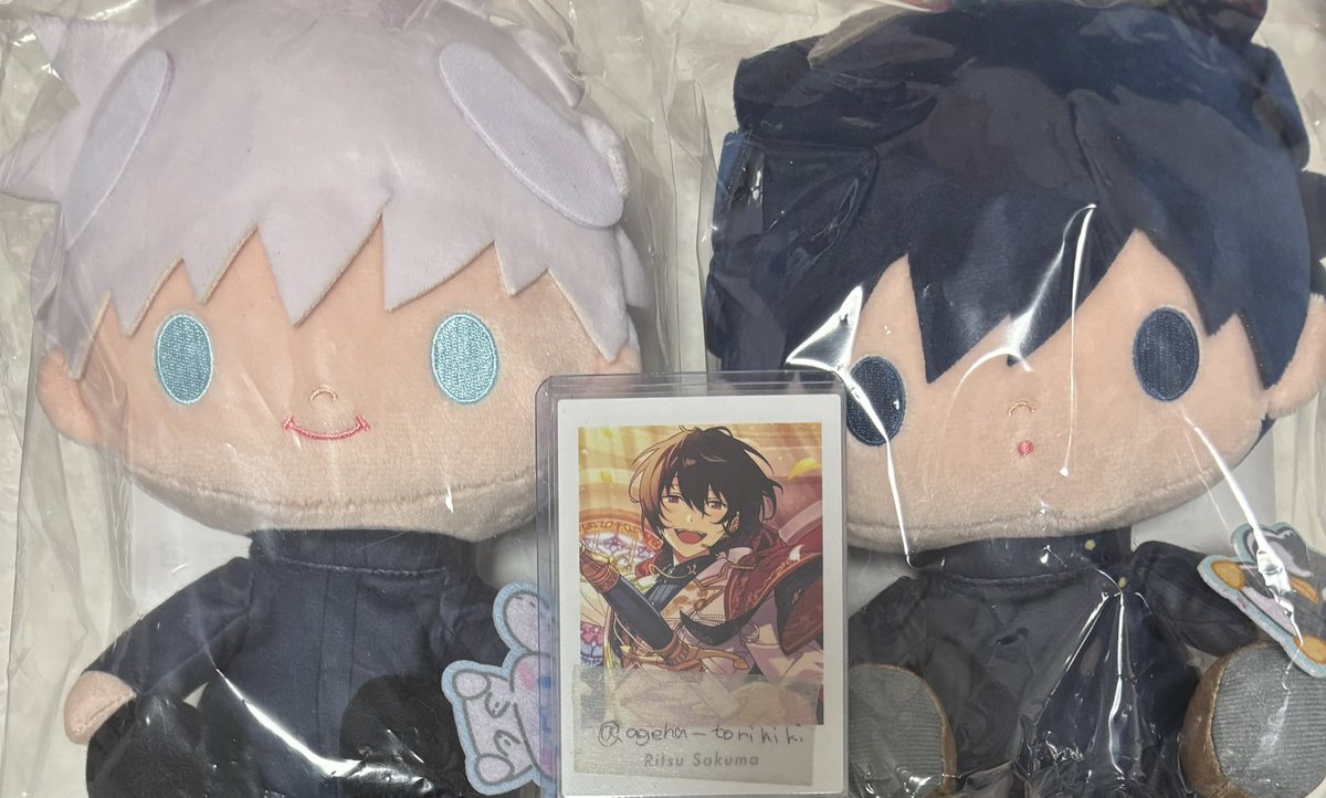 アゲハ@リトリン必読 tweet media