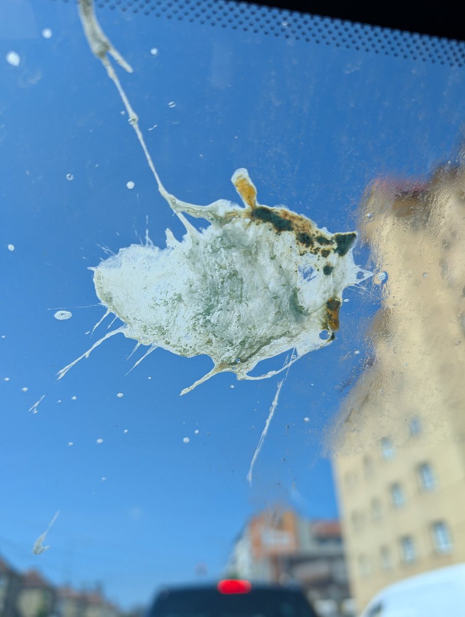 alltagsprolet tweet media