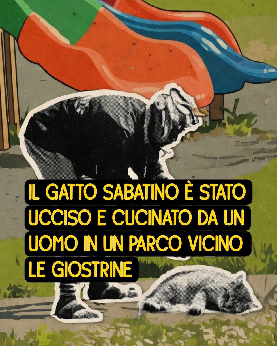 ninabecks1's tweet photo. 🤬🤬🤬🤬🤬🤬🤬
Elisa Fangareggi

Sabatino era un micione randagio conosciuto e coccolato da tutti.. Viveva nel pacchetto di Sarzana, e passa molte giornate steso al sole, prendendosi volentieri le carezze dei passanti. 

Un gatto docile che non è scappato quando quell’uomo gli si è avvicinato, per afferrarlo, ucciderlo, scuoiarlo, sventrarlo e cucinarlo. 

Non è fame. A chi dice che l ha fatto per fame ricordo che non esiste ente caritatevole che neghi un pasto a una persona affamata, tanto che spesso si trovano aiuti umanitari alimentari buttati vicino ai cassonetti da tanti che ne vengono dati. 

Non è un disturbo mentale. Perche se sei disturbato a questo punto non dovresti essere libero di circolare, oggi un gatto e domani magari un bambino?

E’ cattiveria. E’ gente che vive ancora come se fossimo primitivi nella giungla. 

Vedo un animale a disposizione, è carne, è gratis, E’ mia. 

Cosi come voglio una donna per i miei impulsi sessuali, ne vedo una a disposizione, la prendo e la stupro. 

Mi serve una cosa, non posso pagarla, la prendo e la rubo. 

Devo fare i miei bisogni e sono per strada, mi calo i pantaloni e faccio quello che devo fare. 

Io con queste persone non ci voglio avere a che fare, giorno dopo giorno questo Paese sta diventando il terzo mondo, o forse lo è gia. 

Si va a scuola con il coltello, si va al bar col machete, si va a fare shopping col piede di porco. 

I criminali sono liberi di fare quello che vogliono, uccidere, violentare, rubare, occupare case, spacciare….  Tanto restano sempre impuniti. 

Tanto continuiamo a importarne ogni giorno, come se non ne avessimo abbastanza da gestire. 

Questo Paese mi fa ogni giorno un po’ piu schifo, e potrebbe essere il piu bello al mondo con tutto quello che avrebbe da offrire.