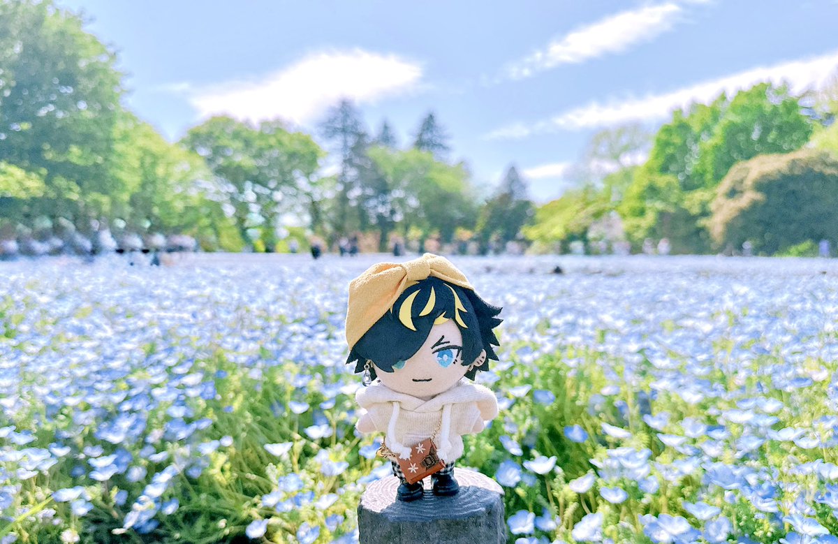 alice_ryutan's tweet photo. 青い花畑の中で💠 https://t.co/f0f8q1Xv2Z