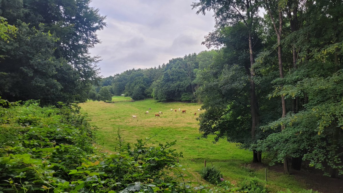 Hidamartin Sketch tweet media