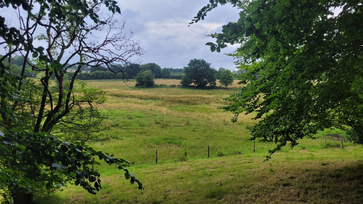 Hidamartin Sketch tweet media