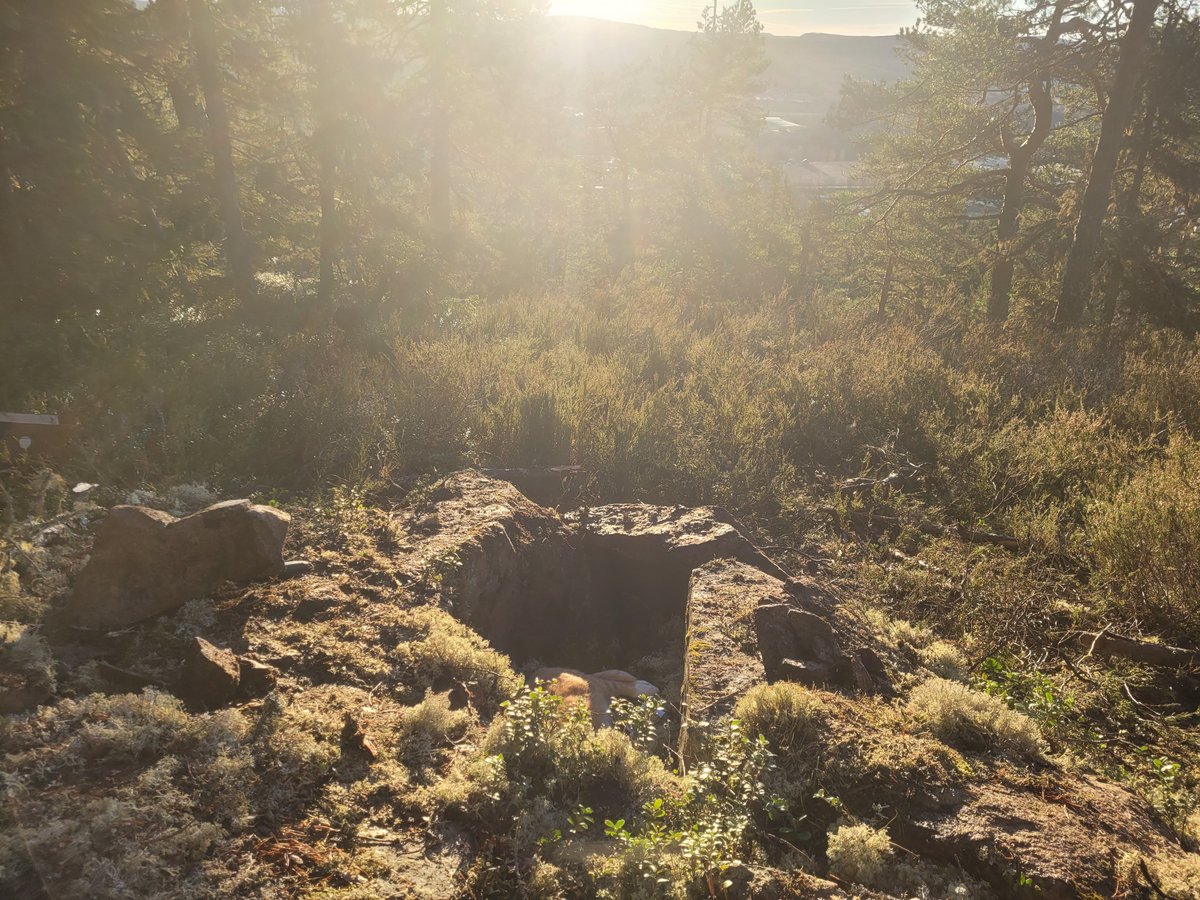 Hidamartin Sketch tweet media