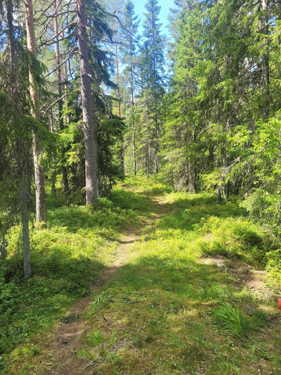 Hidamartin Sketch tweet media