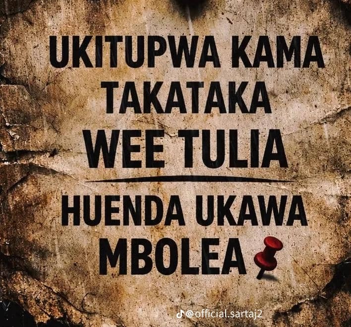 Twarbu Manda tweet media