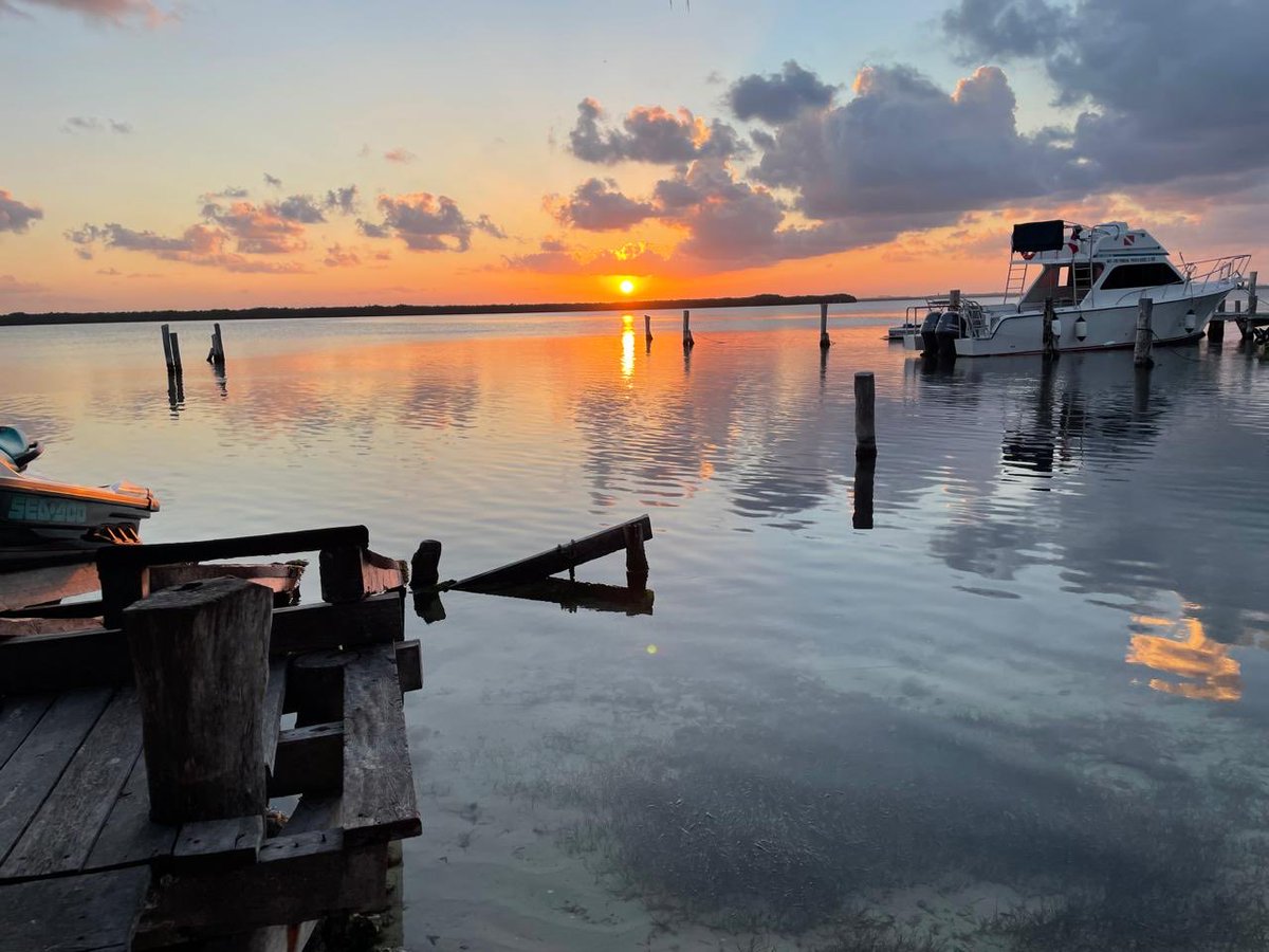 Rafael Flores tweet media