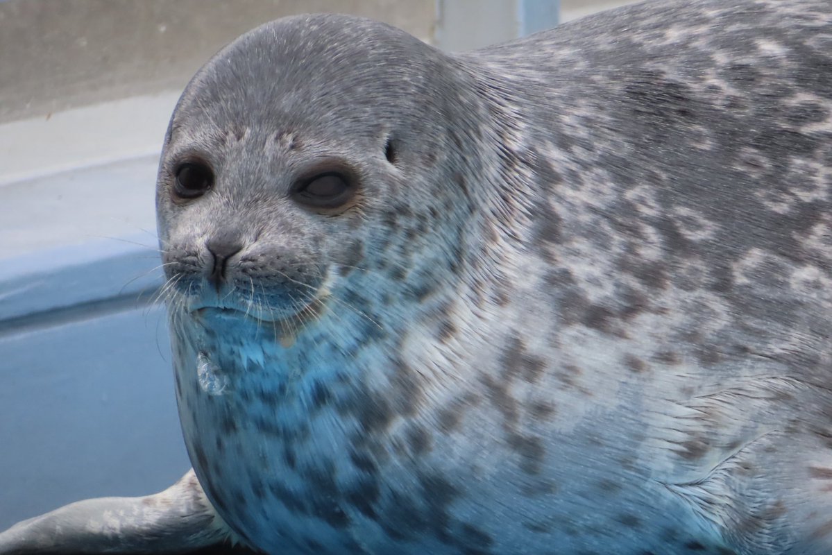 ゆちょん tweet media