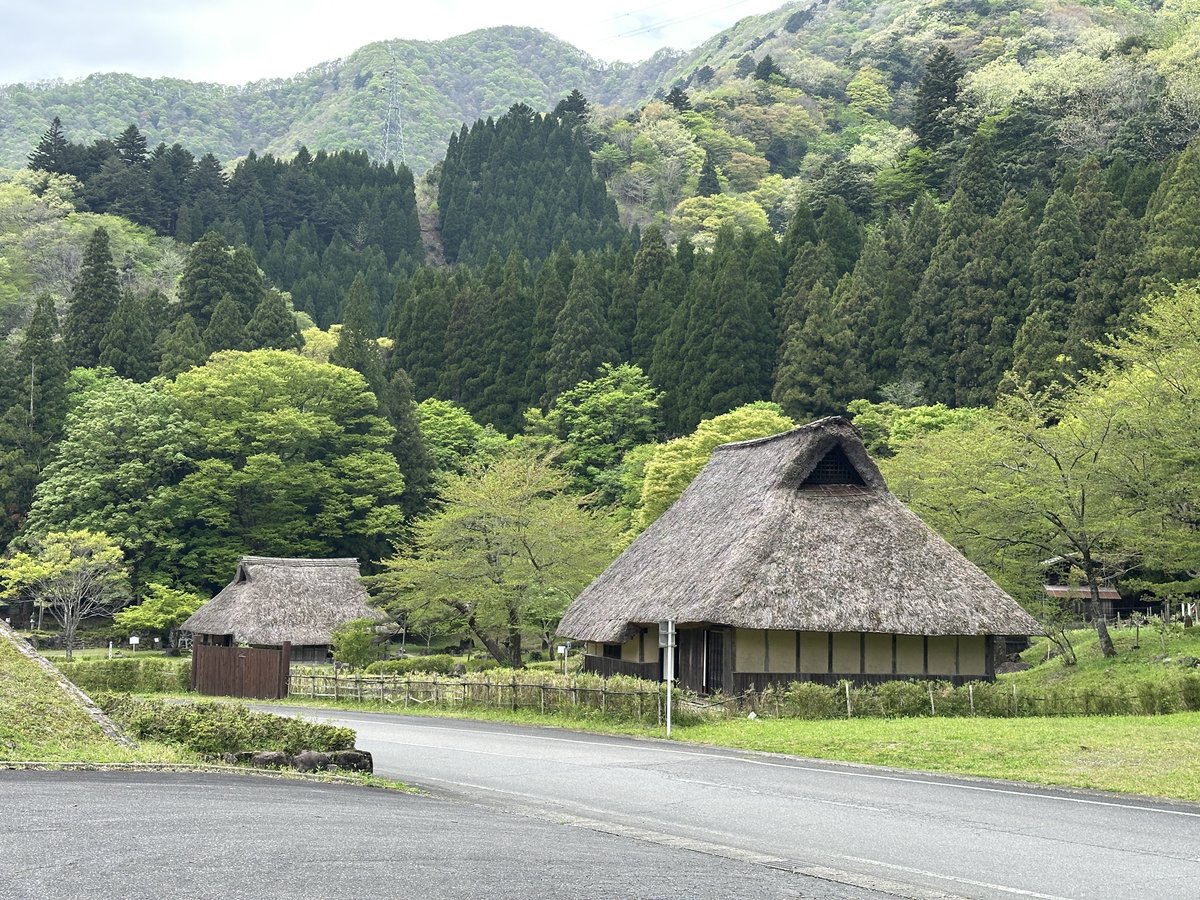 なみしぃ tweet media