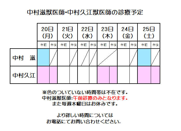 nakavets's tweet photo. 来週の中村滋獣医��、中村久江獣医師の診療予定はこのようになっております。              
 表の色のついていない時間帯は不在です。            
 急な変更もございますので、当日お電話でのご確認をお勧めいたします。 https://t.co/fyP9GYV8NE