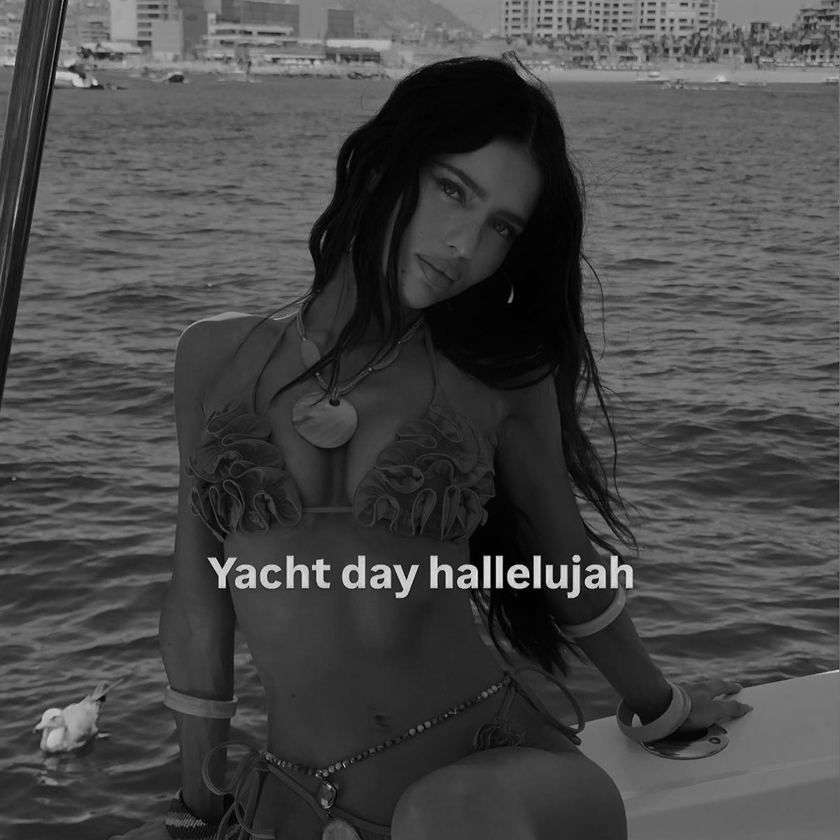 angelica s. crúz, tweet media