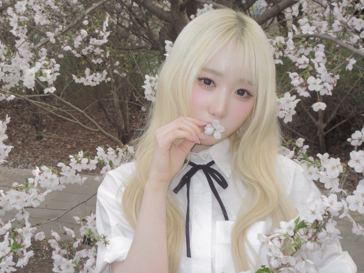 sa2m2nam3's tweet photo. #SAY_MEI   

벚꽃나무 아래에서 기다릴게 

#메이 #MEI #メイ 
#SAYMYNAME #세이마이네임 #SMN #セマネ https://t.co/gBFfqqbSmI