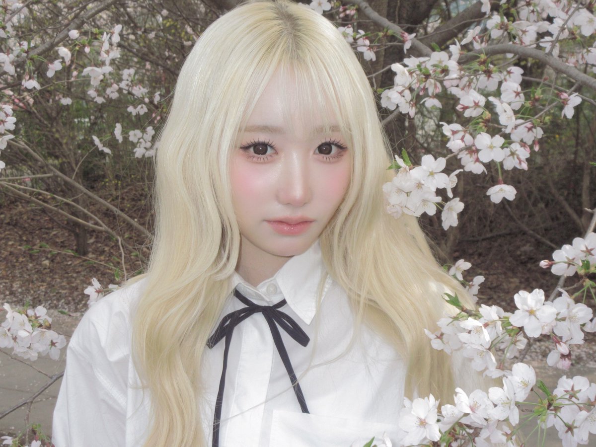 sa2m2nam3's tweet photo. #SAY_MEI   

벚꽃나무 아래에서 기다릴게 

#메이 #MEI #メイ 
#SAYMYNAME #세이마이네임 #SMN #セマネ https://t.co/gBFfqqbSmI