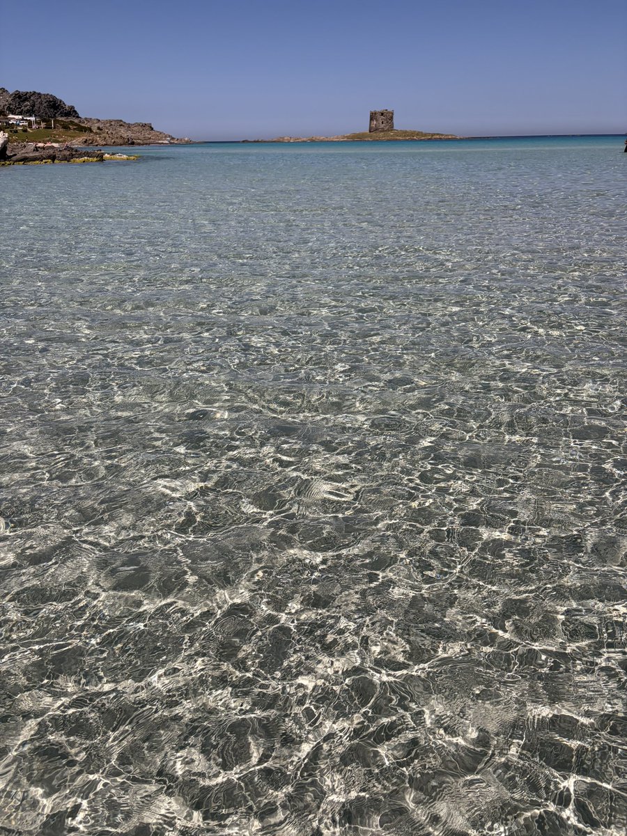 еднорог🦄 tweet media