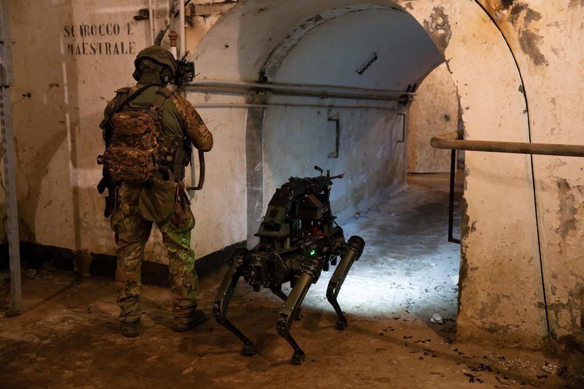 jmscaronte's tweet image. Italian “Dogs” in Ex.Cerbero 2026
#Italy