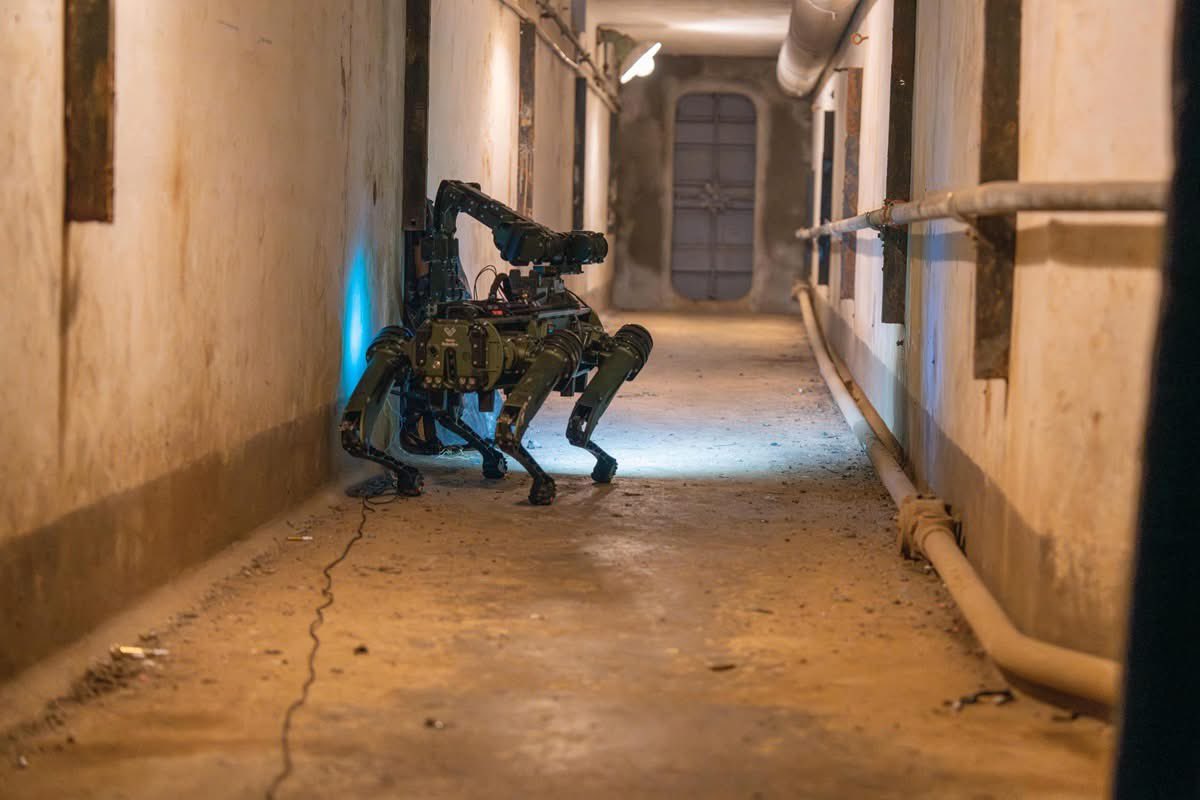 jmscaronte's tweet image. Italian “Dogs” in Ex.Cerbero 2026
#Italy