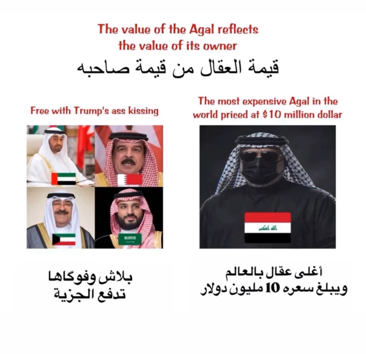 علي العبيدي🇮🇶 tweet media