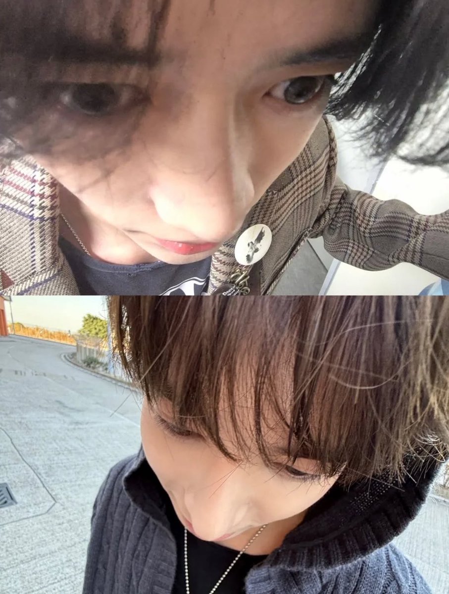 they share one braincell