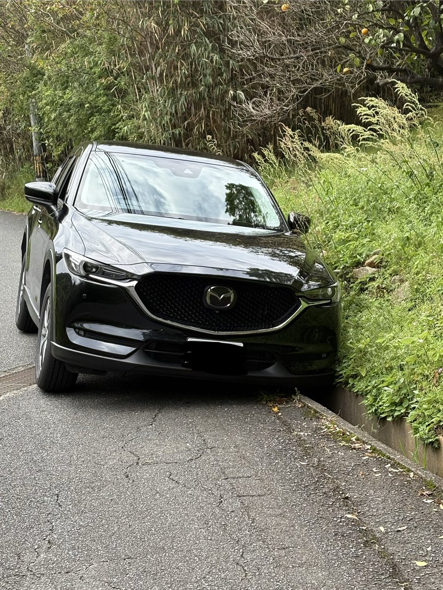 なべちゃん/SalesDex tweet media