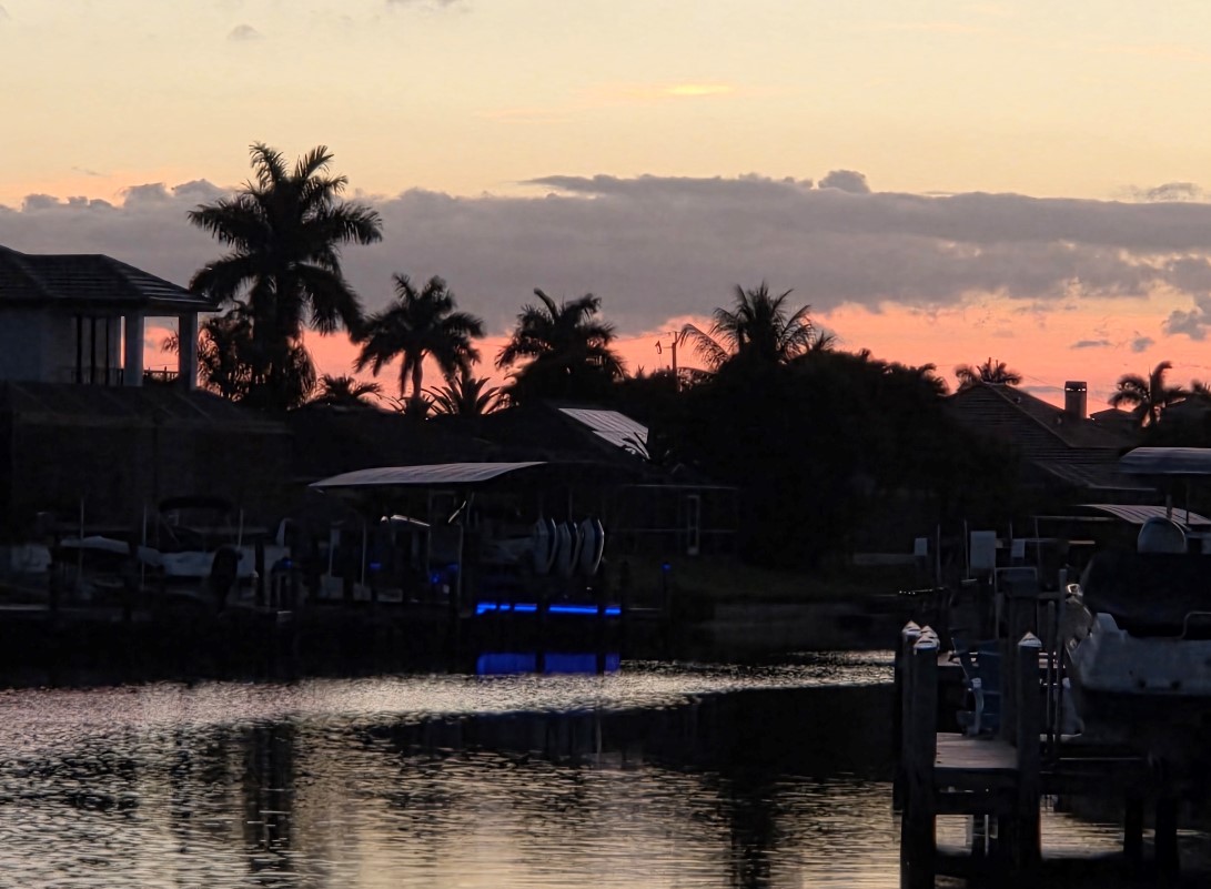 MOMof DataRepublican tweet media