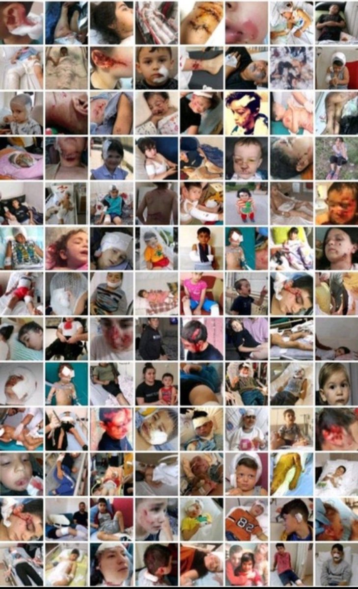 Ege Mavi tweet media