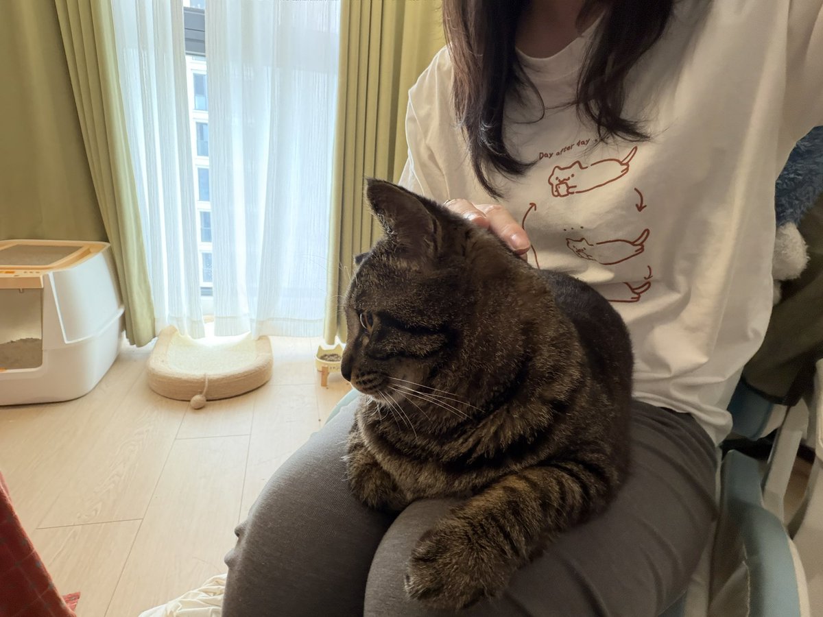 村雨🍤 tweet media