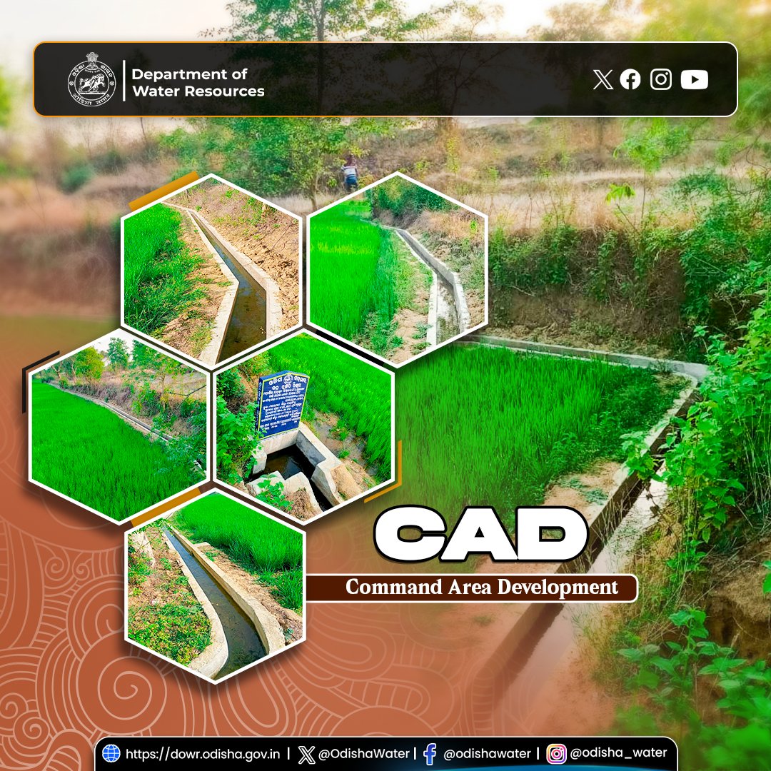 OdishaWater's tweet image. Construction of #FieldChannel works under EFC at Village Dunguripali, Belpada Block, #BolangirDistrict. A 616.80 m lined channel, along with 25 hydraulic structures, has been completed, providing irrigation to 22.71 ha of agricultural land, benefiting 29 farmers. Executed by