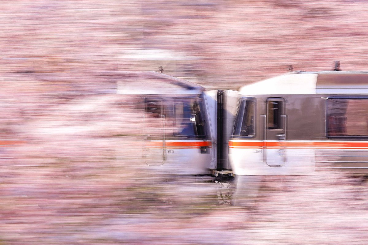 さろは tweet media