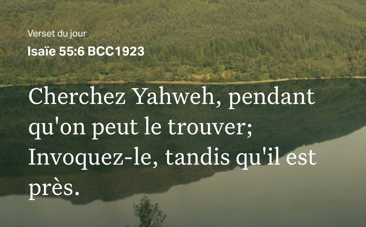 Théo Jr 🇧🇷 tweet media