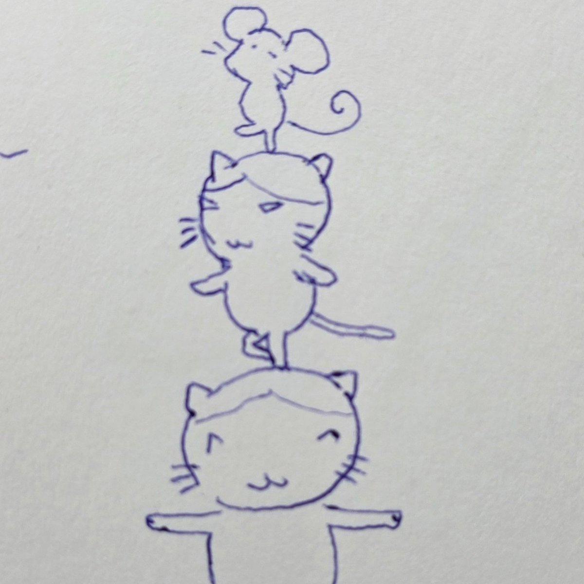 미쟤 tweet media