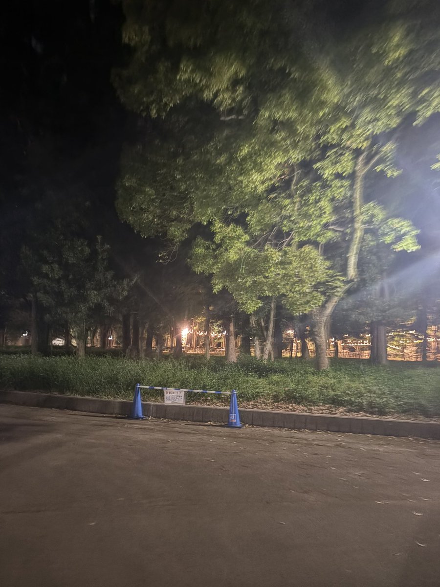 エイミー tweet media