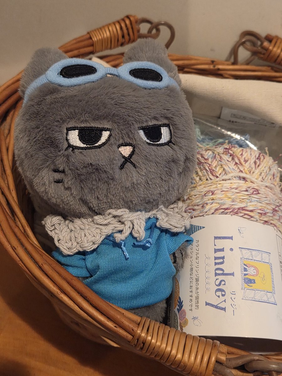 ZWBWXKhf2M90933's tweet image. YouTube見ながら、なんとかケープとつけ襟編めた☺
Seriaに毛糸買いに行ったらボネクドカラーのパーカー売ってた。サイズは合わないけど～💦
毛糸も可愛いのたくさんあった♡
これは寝不足になる
#BOYNEXTDOOR #BND