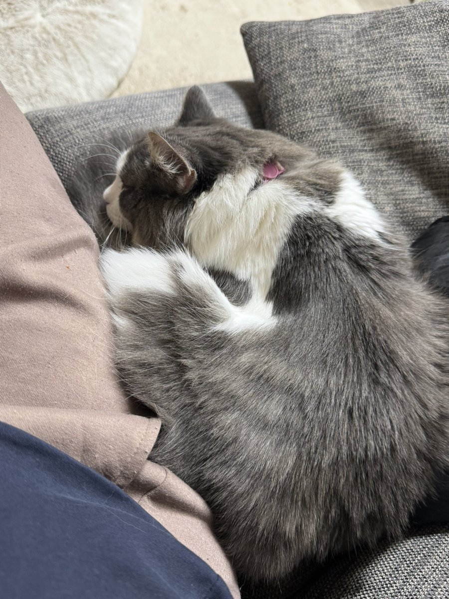 隙間に挟まってきた