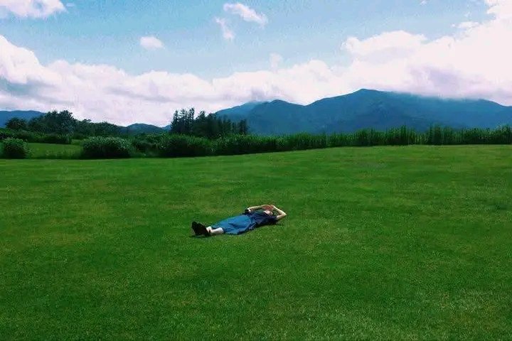 Nature Focus tweet media