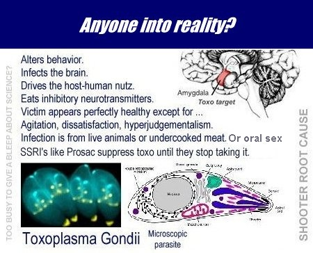 NRGcycle's tweet photo. Nope. I did a deep dive. My conclusion. Not Amy's fault. Toxoplasma Gondii infection, a real pandemic, that's what it does to people. The saddest thing: If only people knew what's causing the inner torment. A protozoa. https://t.co/23xfHXHP2P