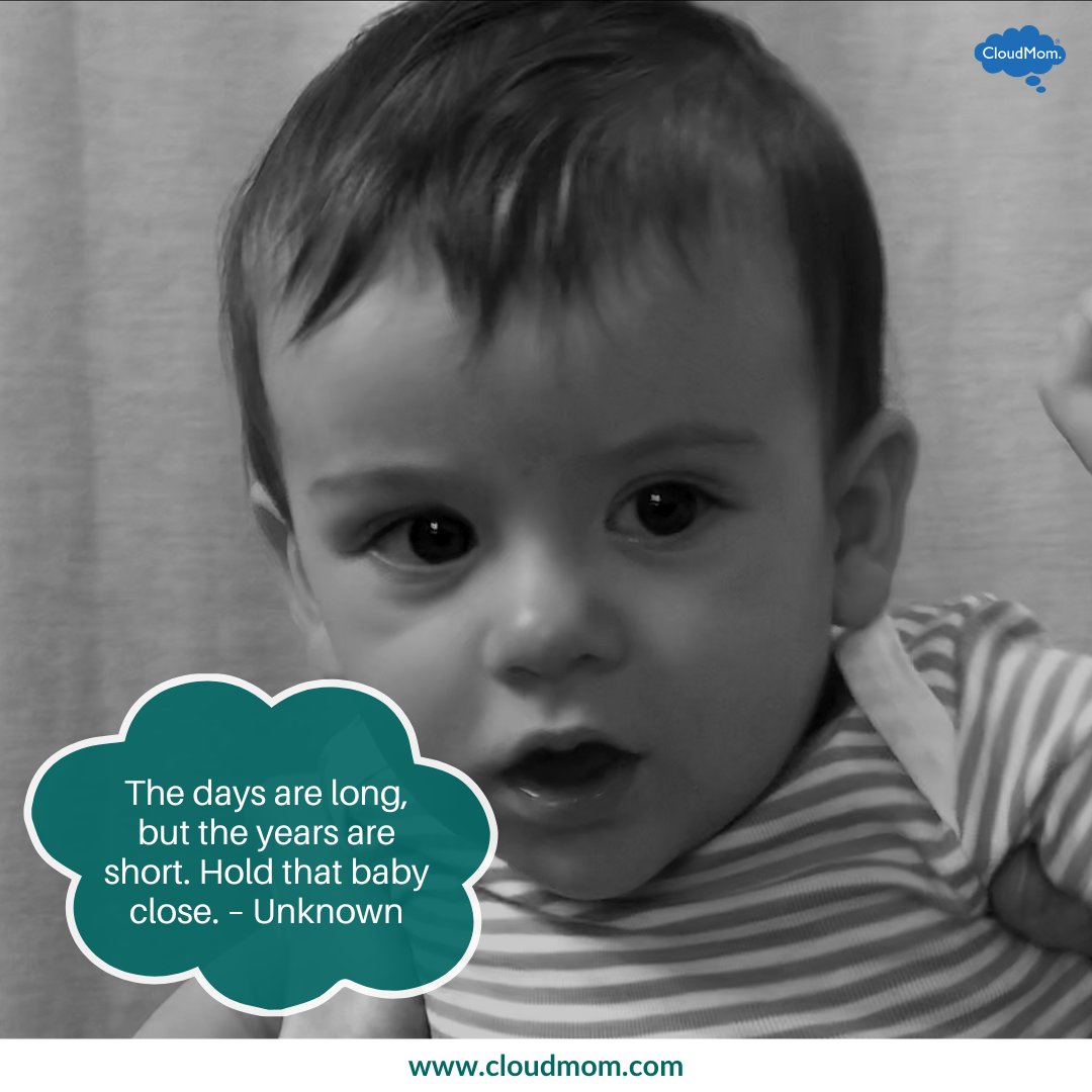 Melissa Lawrence tweet media