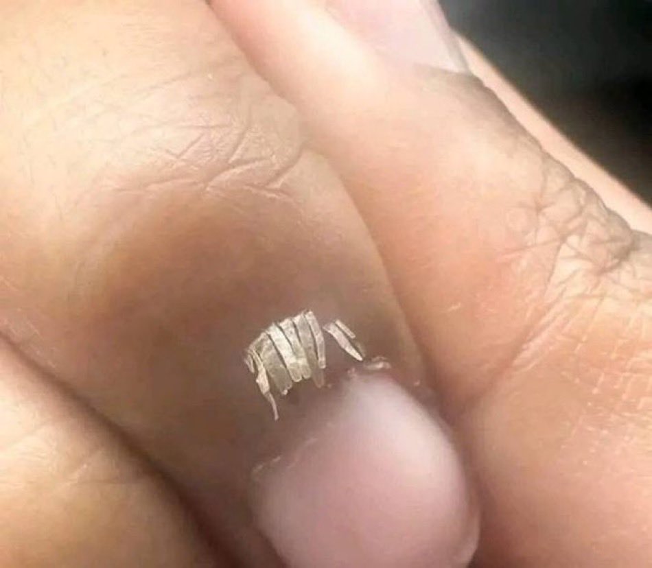 MrInfluencerUg1's tweet photo. What do they call this? https://t.co/5xg0Olky8G