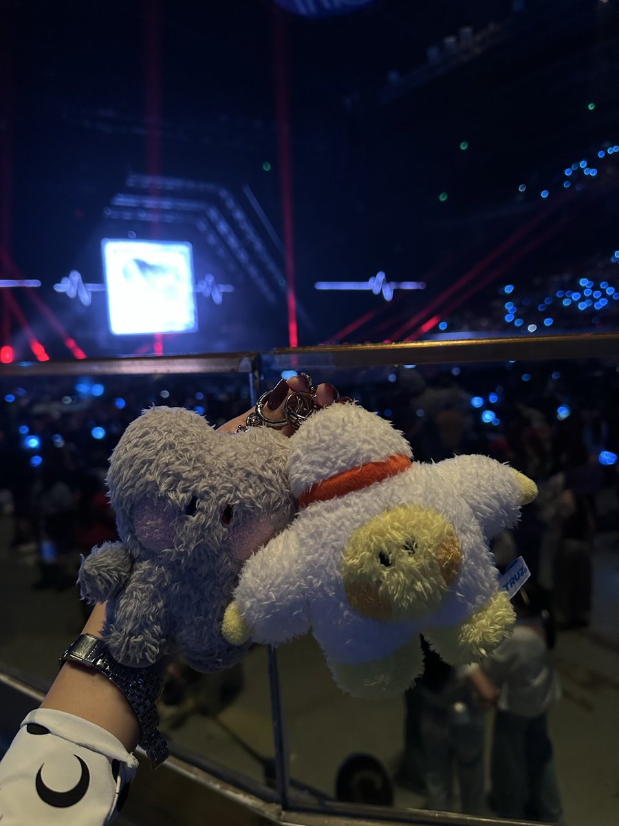 elle ᰔᩚ | ia tweet media