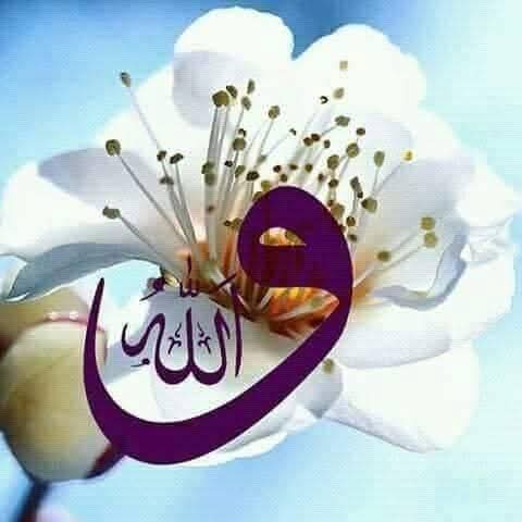 Wefasultan73's tweet photo. Sen #hayallerinden vazgeçme ,
Onlar #duaya dönüşür ,
#Ne zaman #kabul olacak diye de #dertlenme ,
#Elbet herşey #vaktini #bulur...
🍃🌷🍃🌷🍃 https://t.co/tTdLw7vlZp