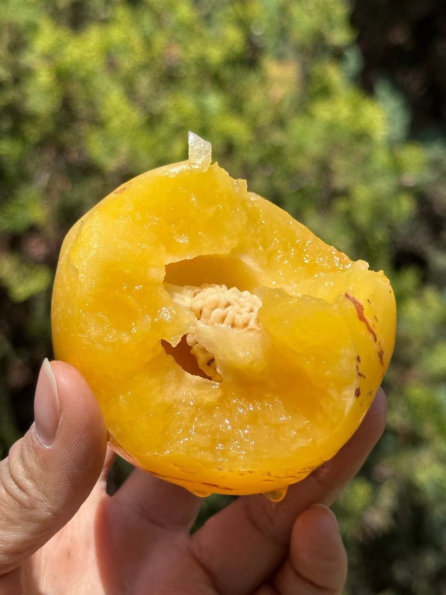 larbi bousela tweet media