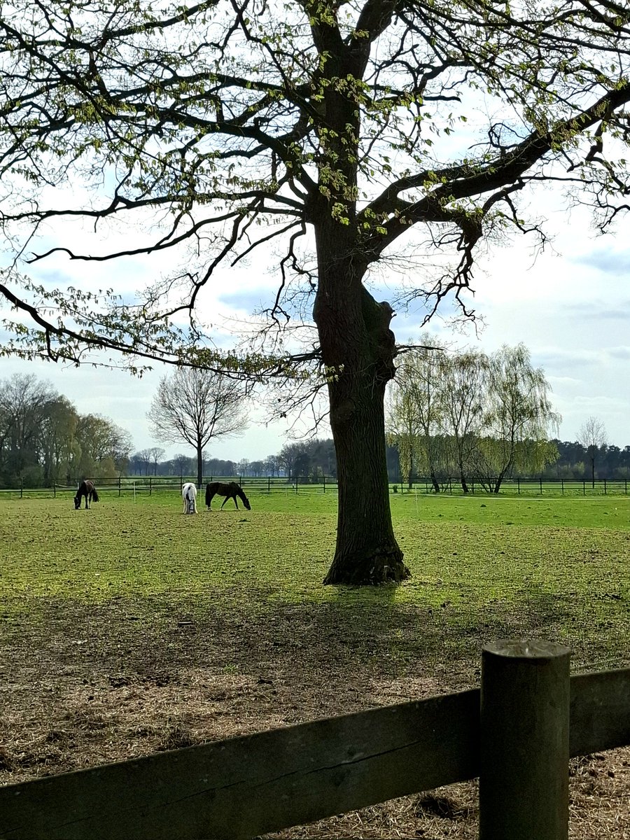 chriz31_07's tweet image. It’s “Simple Saturday”!

#HappySaturday
Please share a photo that simply brings you joy!

Unterwegs....🚴‍♀️