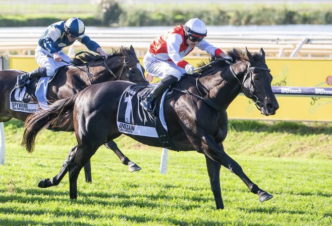 Racing_Previews's tweet image. 7 wins in a row, 2x Group 1 victories and now a Quokka ⭐️

A campaign that should be rewarded with an Everest slot should Cindy wish to take up the challenge 🏔️

#Jigsaw 🧩