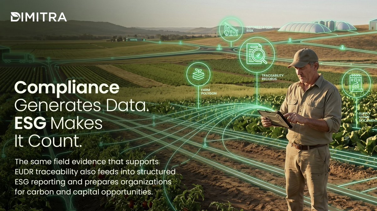 Francesco τ༝τ tweet media