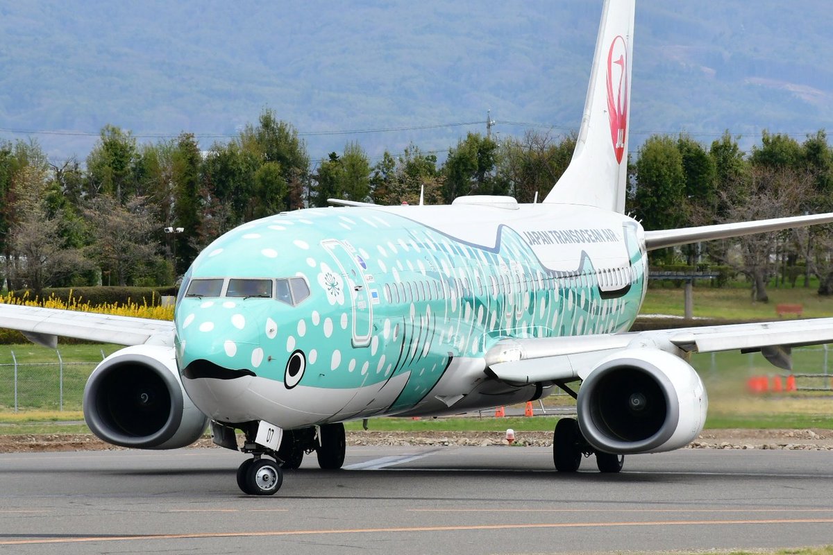 カルミコ tweet media