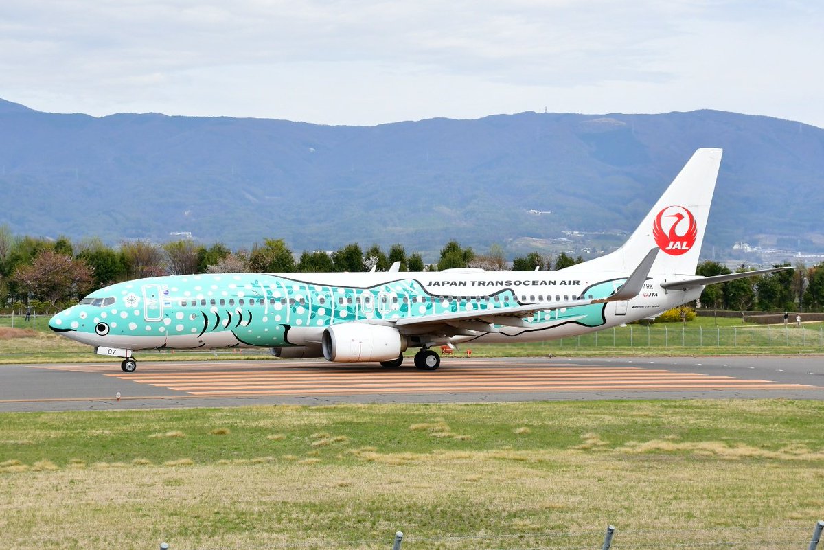 カルミコ tweet media