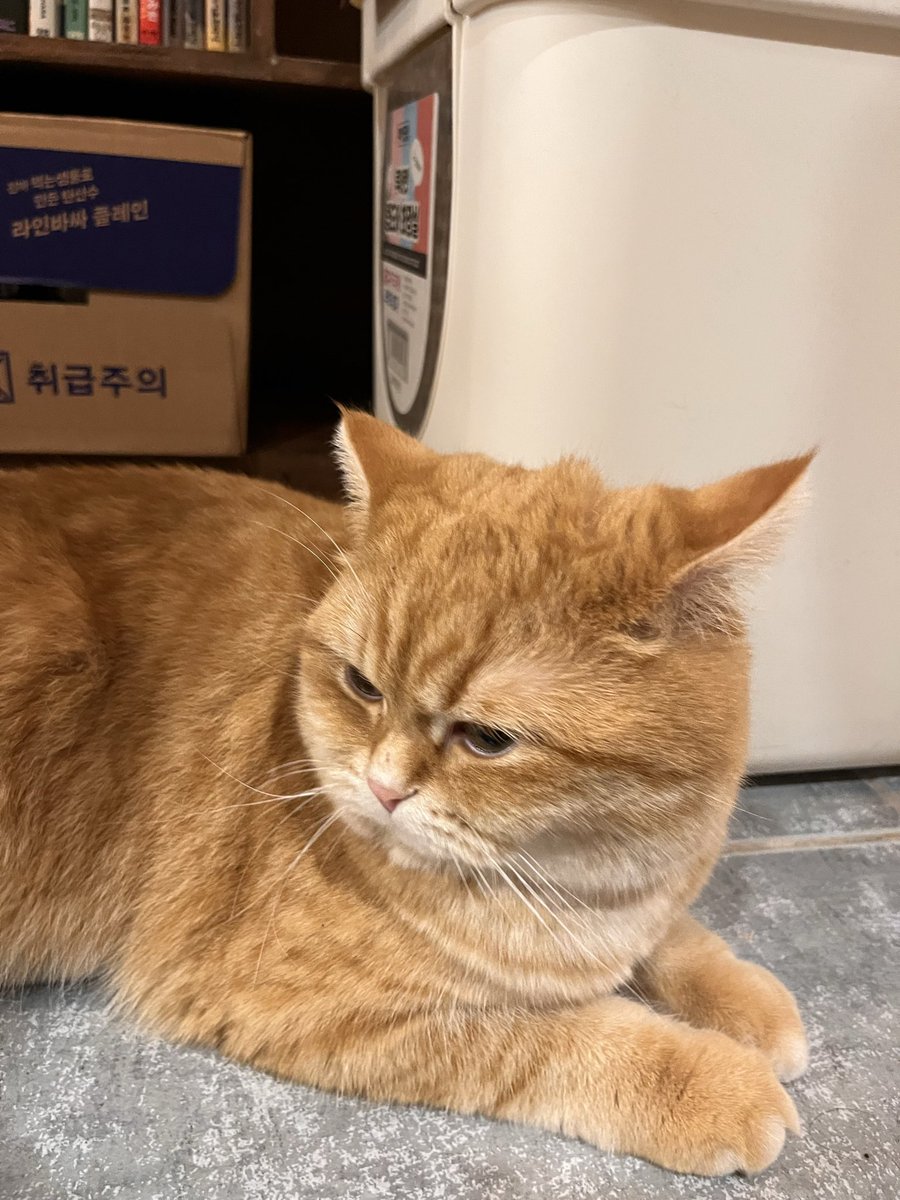 김복실2 tweet media
